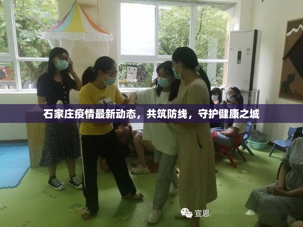 石家莊疫情最新動態(tài)，共筑防線，守護健康之城