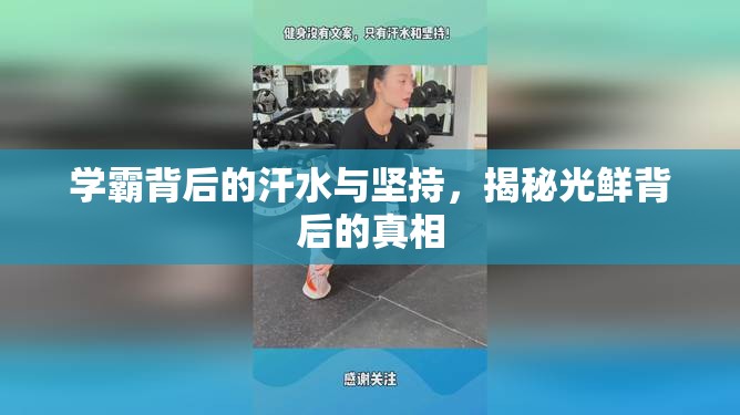 學(xué)霸背后的汗水與堅持，揭秘光鮮背后的真相