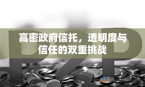 高密政府信托，透明度與信任的雙重挑戰(zhàn)