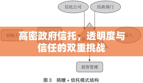 高密政府信托，透明度與信任的雙重挑戰(zhàn)