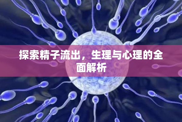 探索精子流出，生理與心理的全面解析