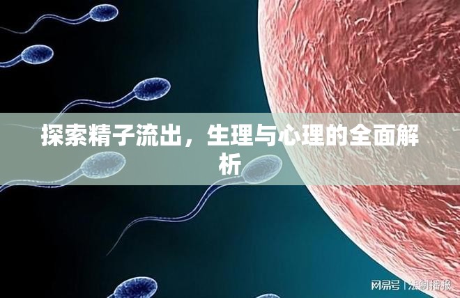 探索精子流出，生理與心理的全面解析