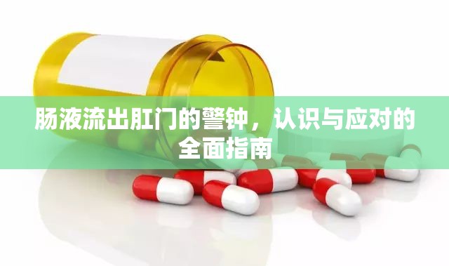 腸液流出肛門的警鐘，認識與應對的全面指南