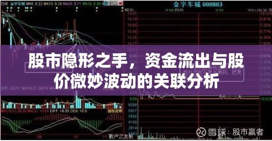 股市隱形之手，資金流出與股價微妙波動的關聯(lián)分析