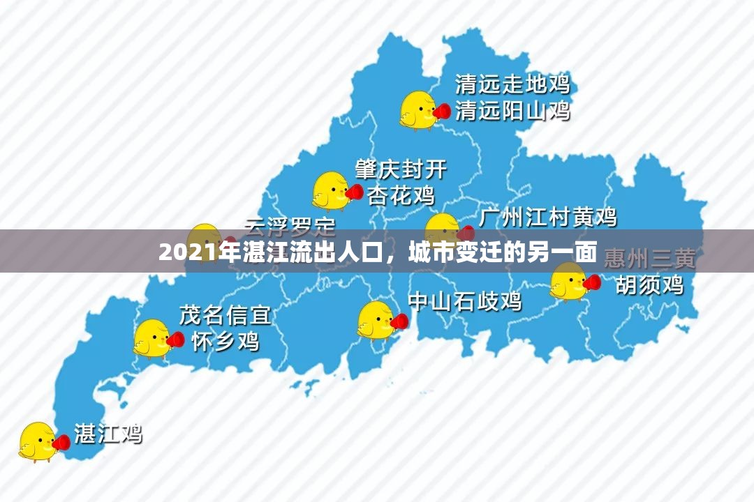 2021年湛江流出人口，城市變遷的另一面