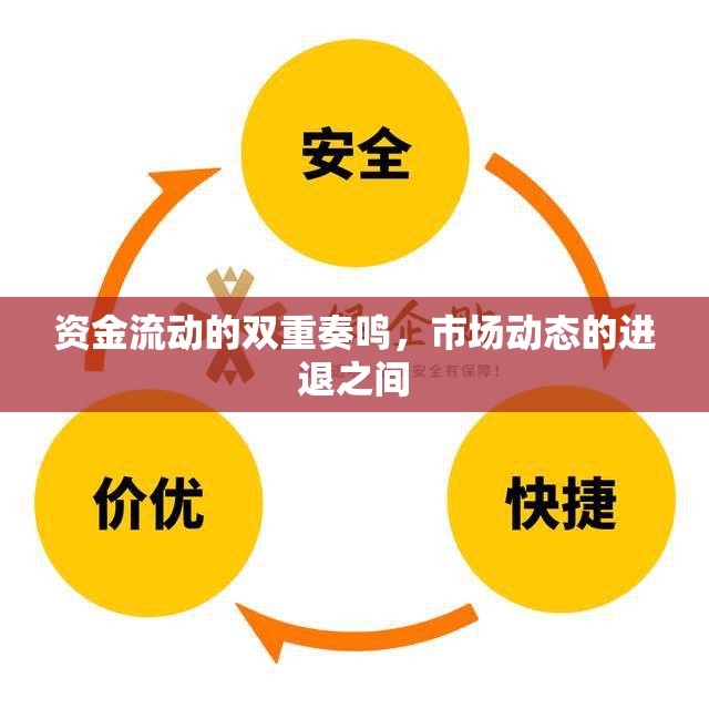 資金流動(dòng)的雙重奏鳴，市場(chǎng)動(dòng)態(tài)的進(jìn)退之間