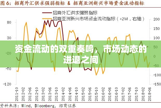 資金流動(dòng)的雙重奏鳴，市場(chǎng)動(dòng)態(tài)的進(jìn)退之間