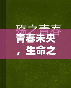 青春未央，生命之殤，23歲女主播的悲劇與人生反思