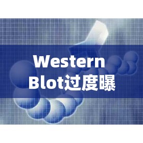 Western Blot過度曝光的奧秘，從原理到實踐的全面解析