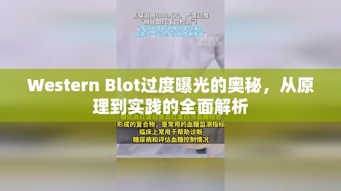 Western Blot過度曝光的奧秘，從原理到實踐的全面解析