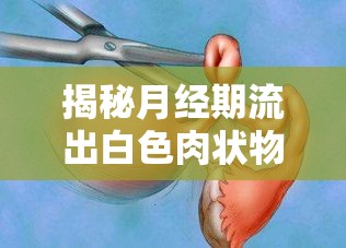 揭秘月經(jīng)期流出白色肉狀物的真相，健康與誤解的對(duì)話