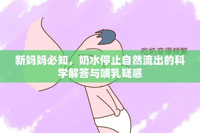 新媽媽必知，奶水停止自然流出的科學(xué)解答與哺乳疑惑