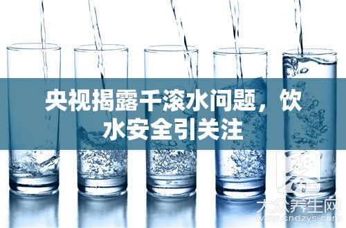 央視揭露千滾水問題，飲水安全引關(guān)注