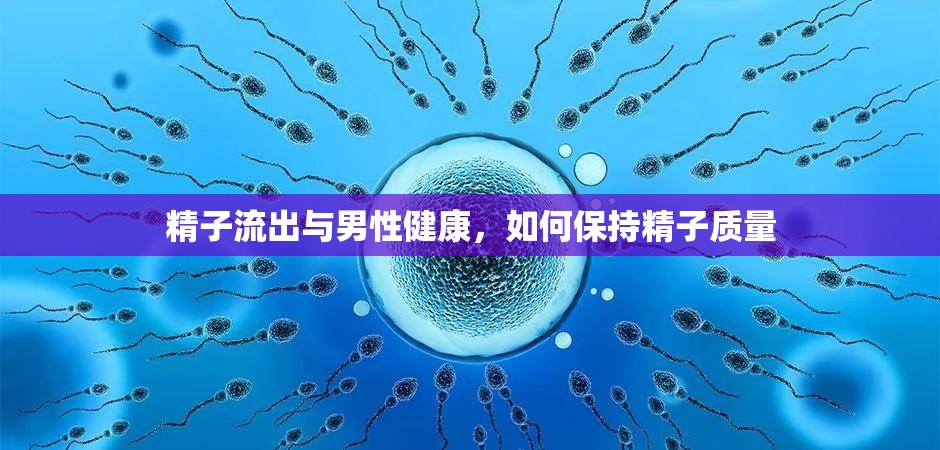 精子流出與男性健康，如何保持精子質量