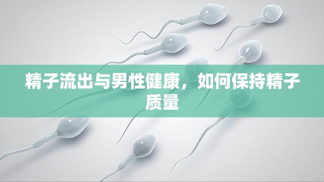 精子流出與男性健康，如何保持精子質量