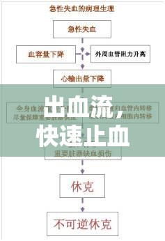 出血流，快速止血的科學(xué)與智慧