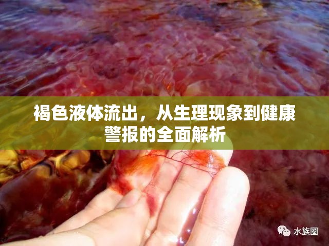 褐色液體流出，從生理現(xiàn)象到健康警報的全面解析