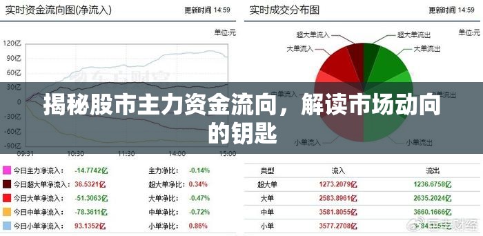 揭秘股市主力資金流向，解讀市場動向的鑰匙