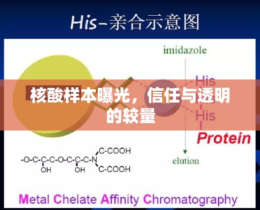 核酸樣本曝光，信任與透明的較量