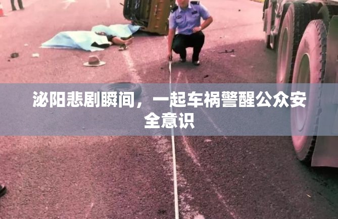 泌陽悲劇瞬間，一起車禍警醒公眾安全意識