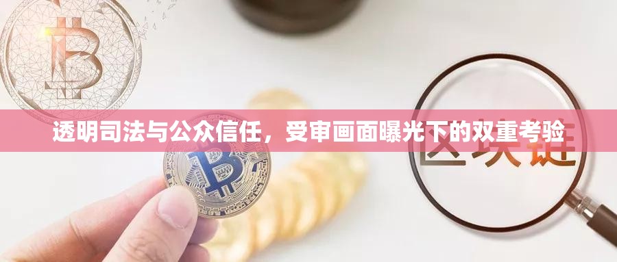 透明司法與公眾信任，受審畫面曝光下的雙重考驗