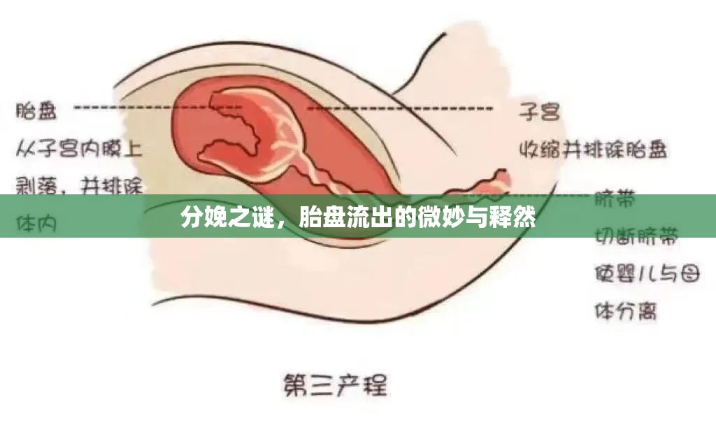 分娩之謎，胎盤(pán)流出的微妙與釋然