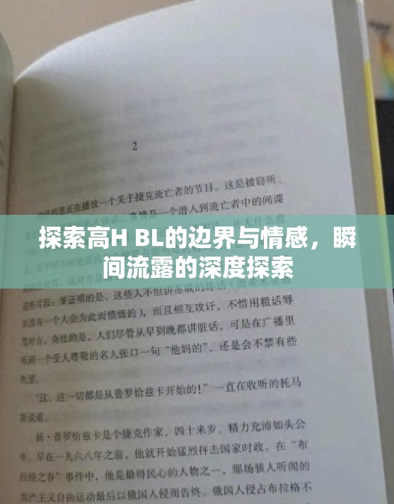 探索高H BL的邊界與情感，瞬間流露的深度探索