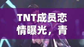 TNT成員戀情曝光，青春悸動(dòng)與粉絲期待