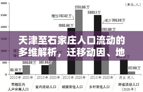 天津至石家莊人口流動的多維解析，遷移動因、地域分布及社會影響