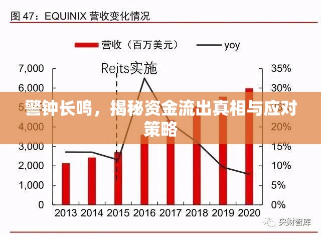 警鐘長鳴，揭秘資金流出真相與應對策略