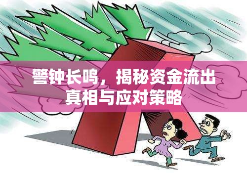 警鐘長鳴，揭秘資金流出真相與應對策略