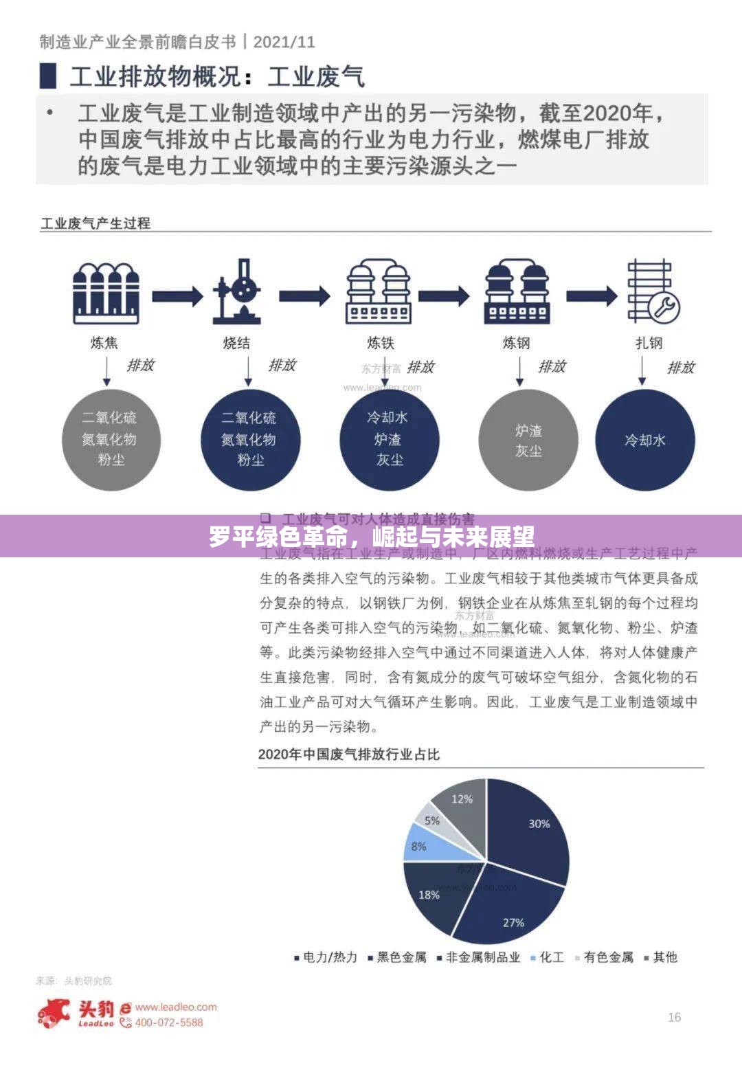 羅平綠色革命，崛起與未來展望