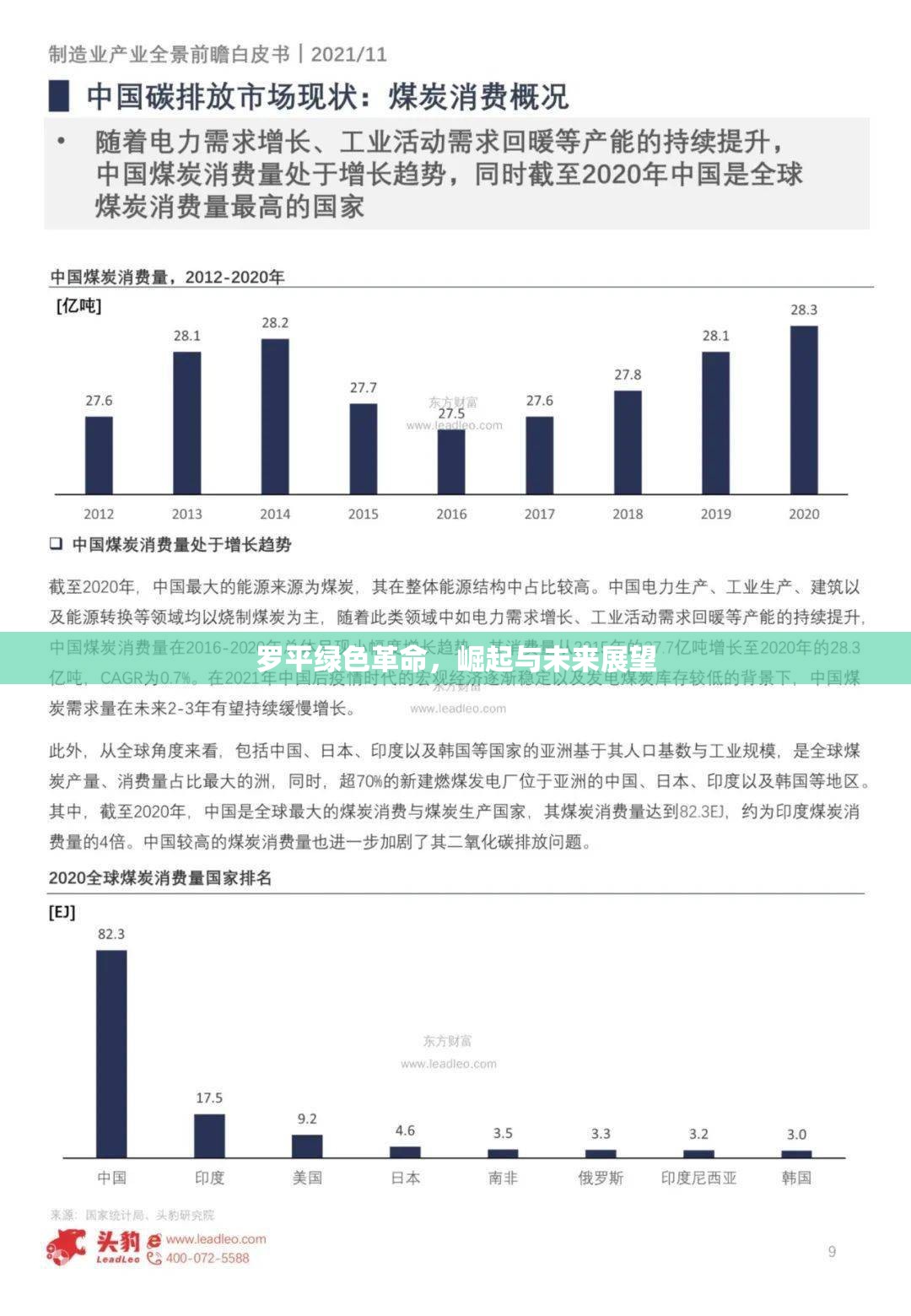 羅平綠色革命，崛起與未來展望