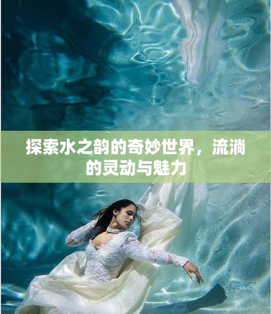 探索水之韻的奇妙世界，流淌的靈動(dòng)與魅力