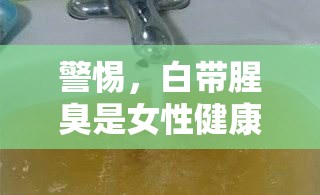 警惕，白帶腥臭是女性健康的隱形警報