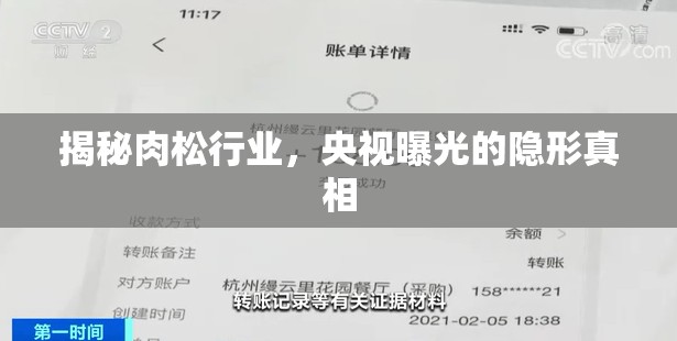 揭秘肉松行業(yè)，央視曝光的隱形真相