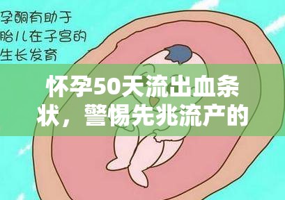 懷孕50天流出血條狀，警惕先兆流產(chǎn)的信號