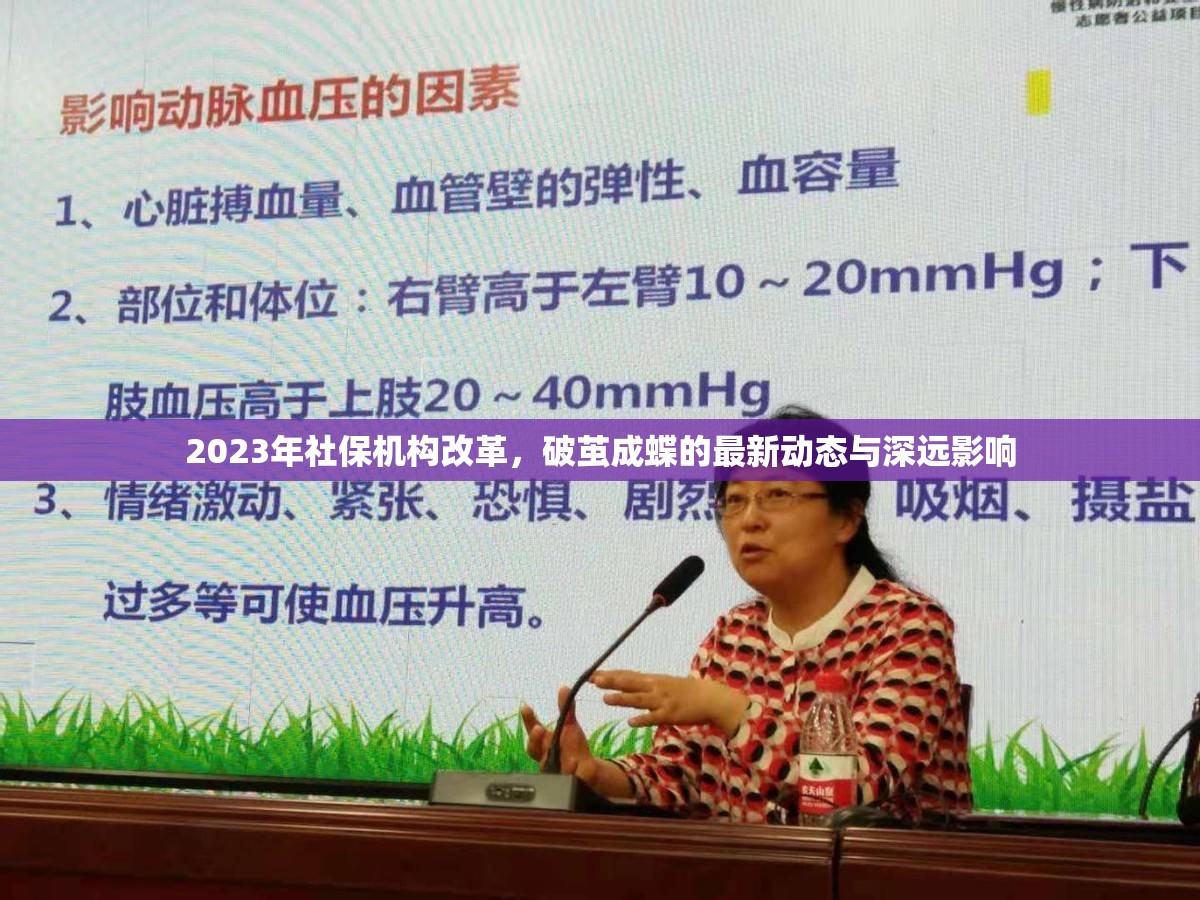 2023年社保機構(gòu)改革，破繭成蝶的最新動態(tài)與深遠影響