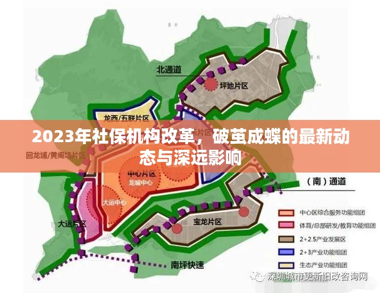 2023年社保機(jī)構(gòu)改革，破繭成蝶的最新動(dòng)態(tài)與深遠(yuǎn)影響