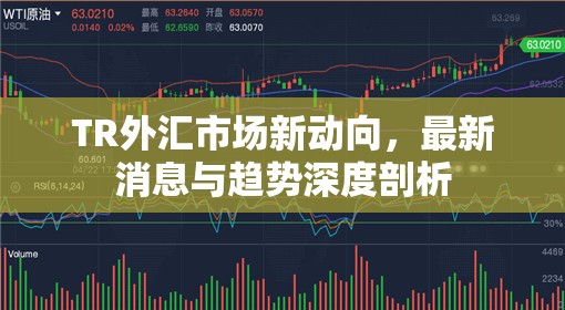 TR外匯市場新動(dòng)向，最新消息與趨勢深度剖析