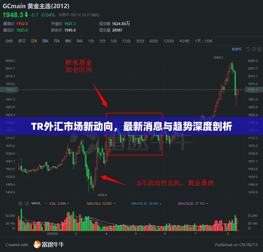 TR外匯市場新動(dòng)向，最新消息與趨勢深度剖析