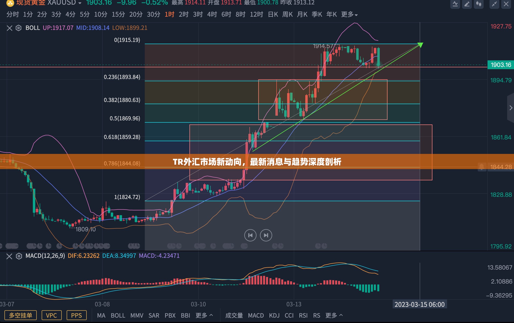 TR外匯市場新動(dòng)向，最新消息與趨勢深度剖析