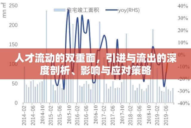 人才流動的雙重面，引進與流出的深度剖析、影響與應(yīng)對策略