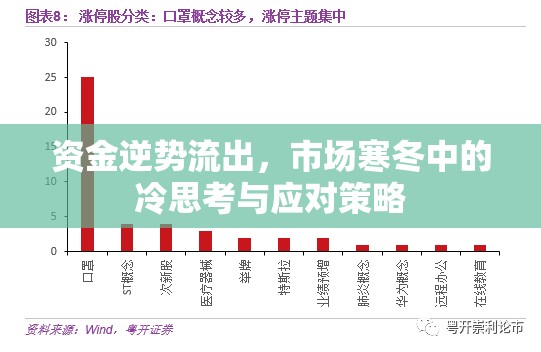 資金逆勢流出，市場寒冬中的冷思考與應對策略