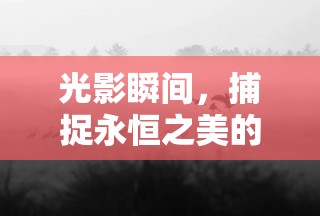 光影瞬間，捕捉永恒之美的攝影藝術(shù)