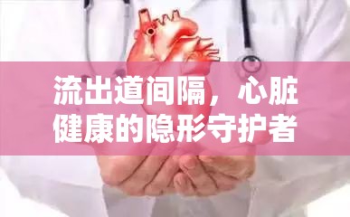 流出道間隔，心臟健康的隱形守護(hù)者