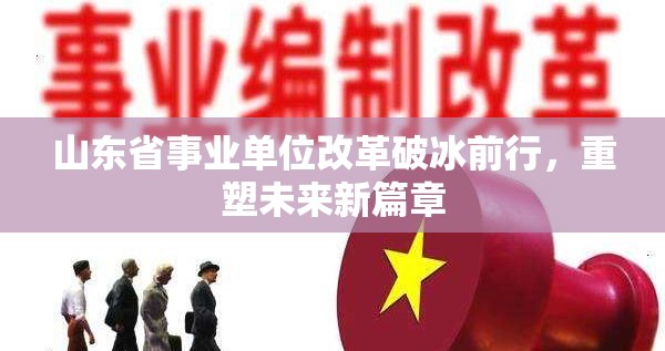 山東省事業(yè)單位改革破冰前行，重塑未來新篇章