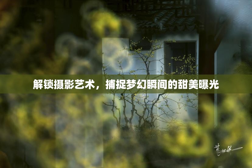 解鎖攝影藝術(shù)，捕捉夢幻瞬間的甜美曝光