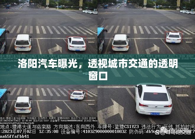 洛陽汽車曝光，透視城市交通的透明窗口