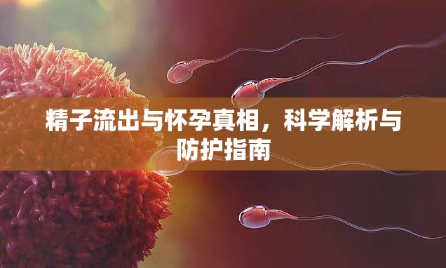 精子流出與懷孕真相，科學解析與防護指南